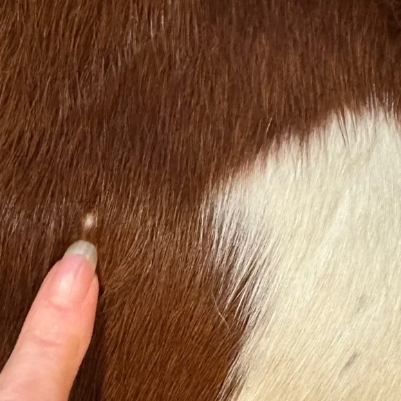 Cowhide artisan Brown and White Leather Shoulder Bag - Picture 8 of 11